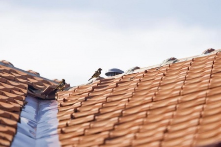 Rénovation de toiture : guide complet des étapes clés